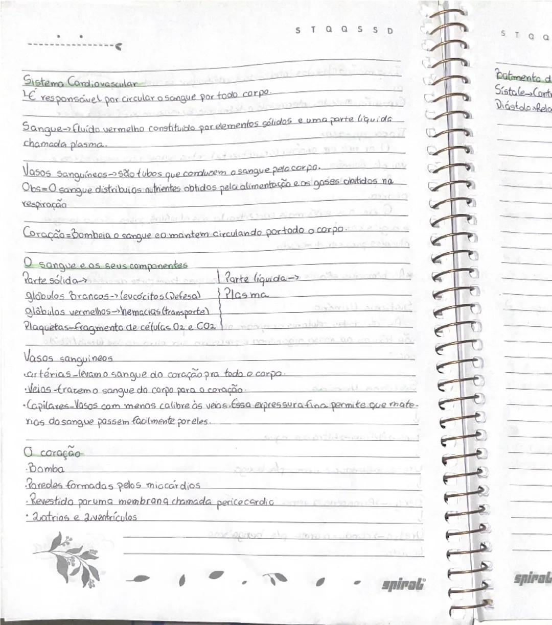 # Ciências

## Tema 1: "Crescimento e mudanças no corpo"

- meninas
  -menstruação
  -mamas
  -pelos pubianos
- meninos
  -voz
  -pelos pubi