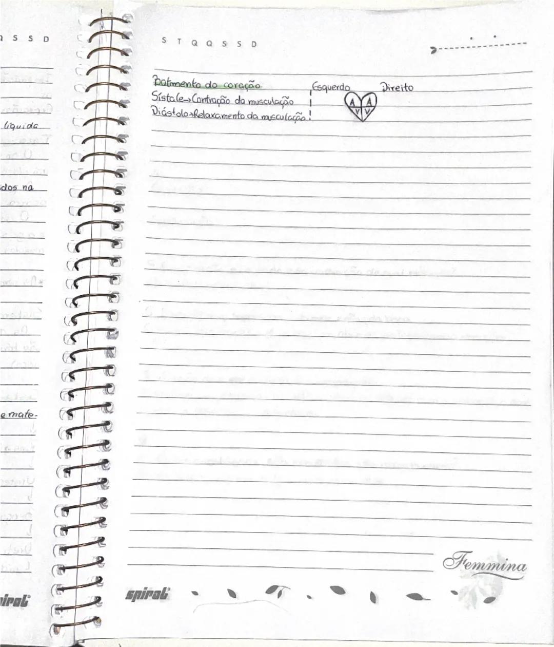 # Ciências

## Tema 1: "Crescimento e mudanças no corpo"

- meninas
  -menstruação
  -mamas
  -pelos pubianos
- meninos
  -voz
  -pelos pubi