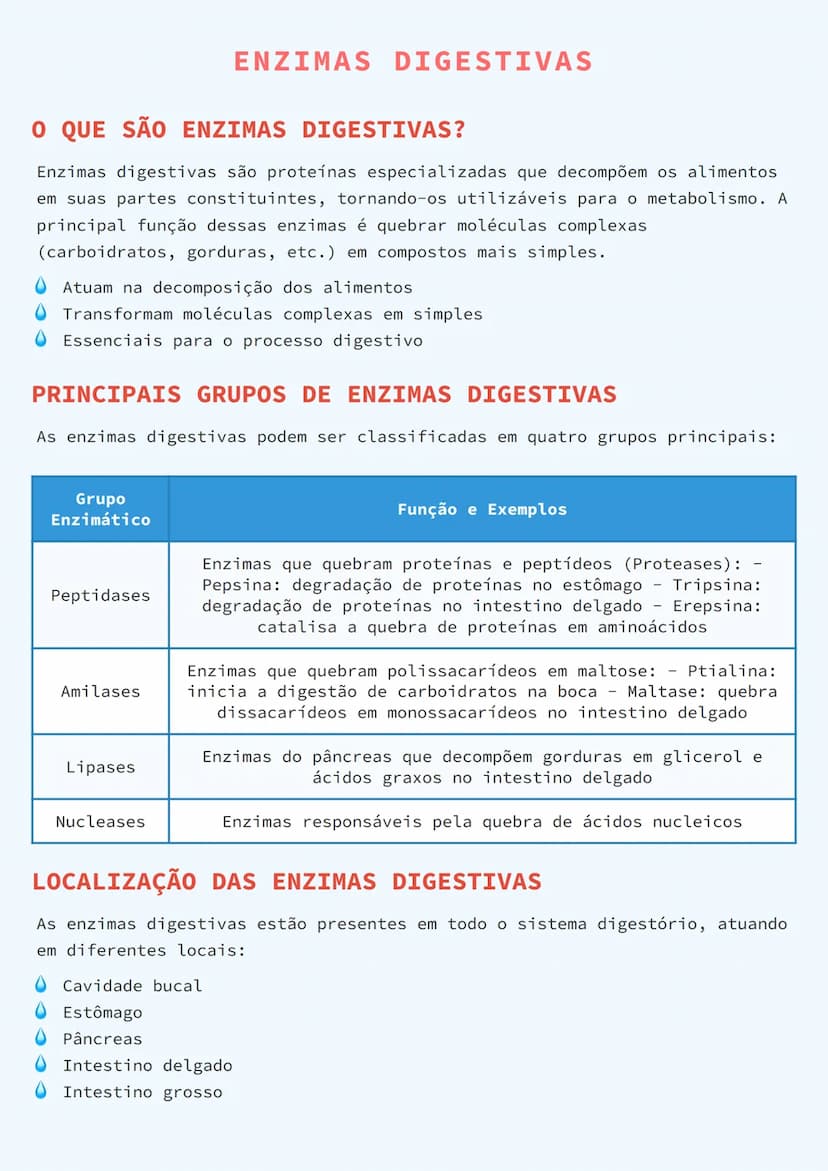 # ENZIMAS DIGESTIVAS

# O QUE SÃO ENZIMAS DIGESTIVAS?

Enzimas digestivas são proteínas especializadas que decompõem os alimentos
em suas pa