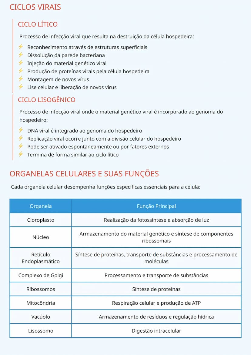 # BIOLOGIA CELULAR: ESTRUTURA E
ORGANIZAÇÃO
# TIPOS BÁSICOS DE CÉLULAS
## CÉLULAS PROCARIÓTICAS
As células procarióticas, encontradas em bac
