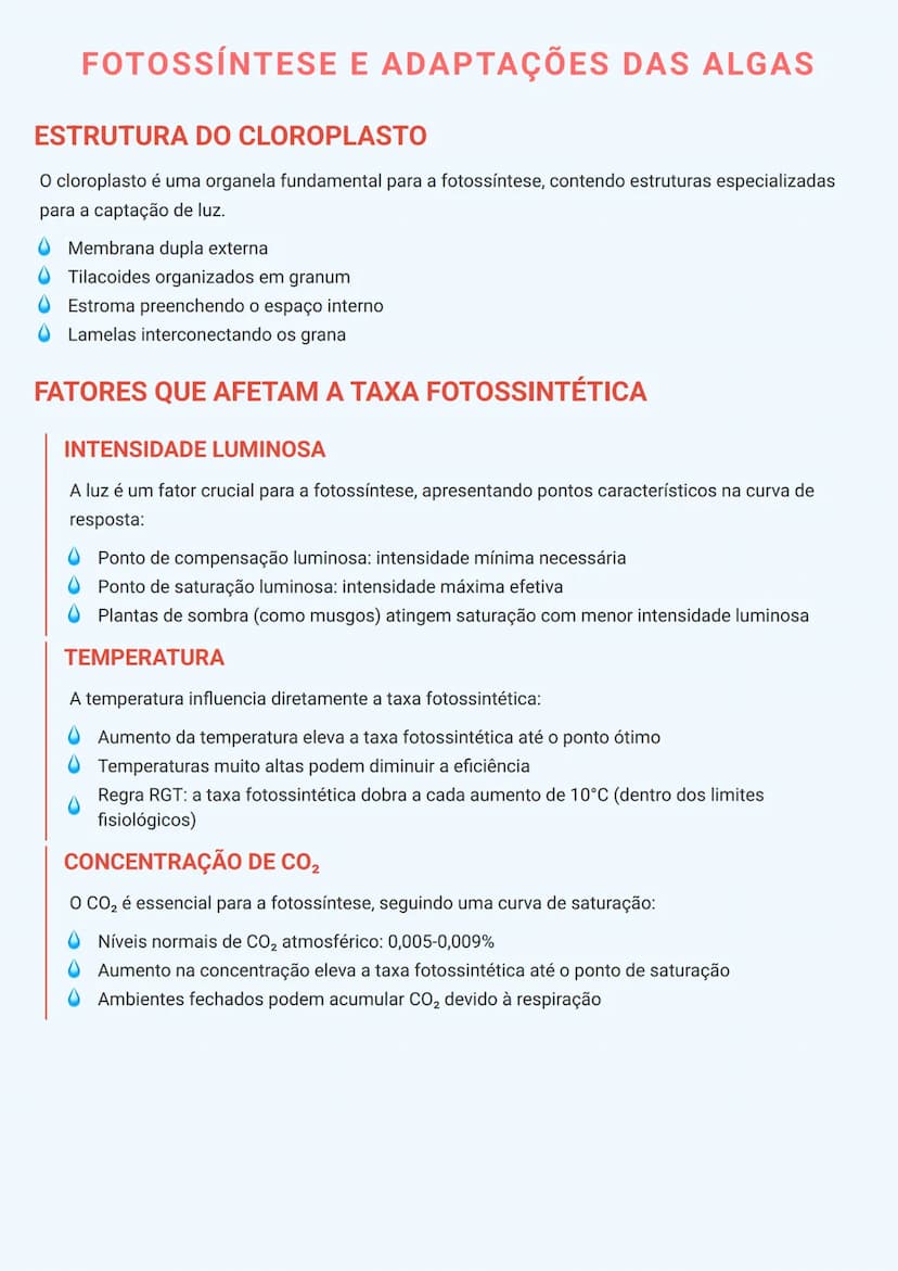# FOTOSSÍNTESE E ADAPTAÇÕES DAS ALGAS

# ESTRUTURA DO CLOROPLASTO
O cloroplasto é uma organela fundamental para a fotossíntese, contendo est