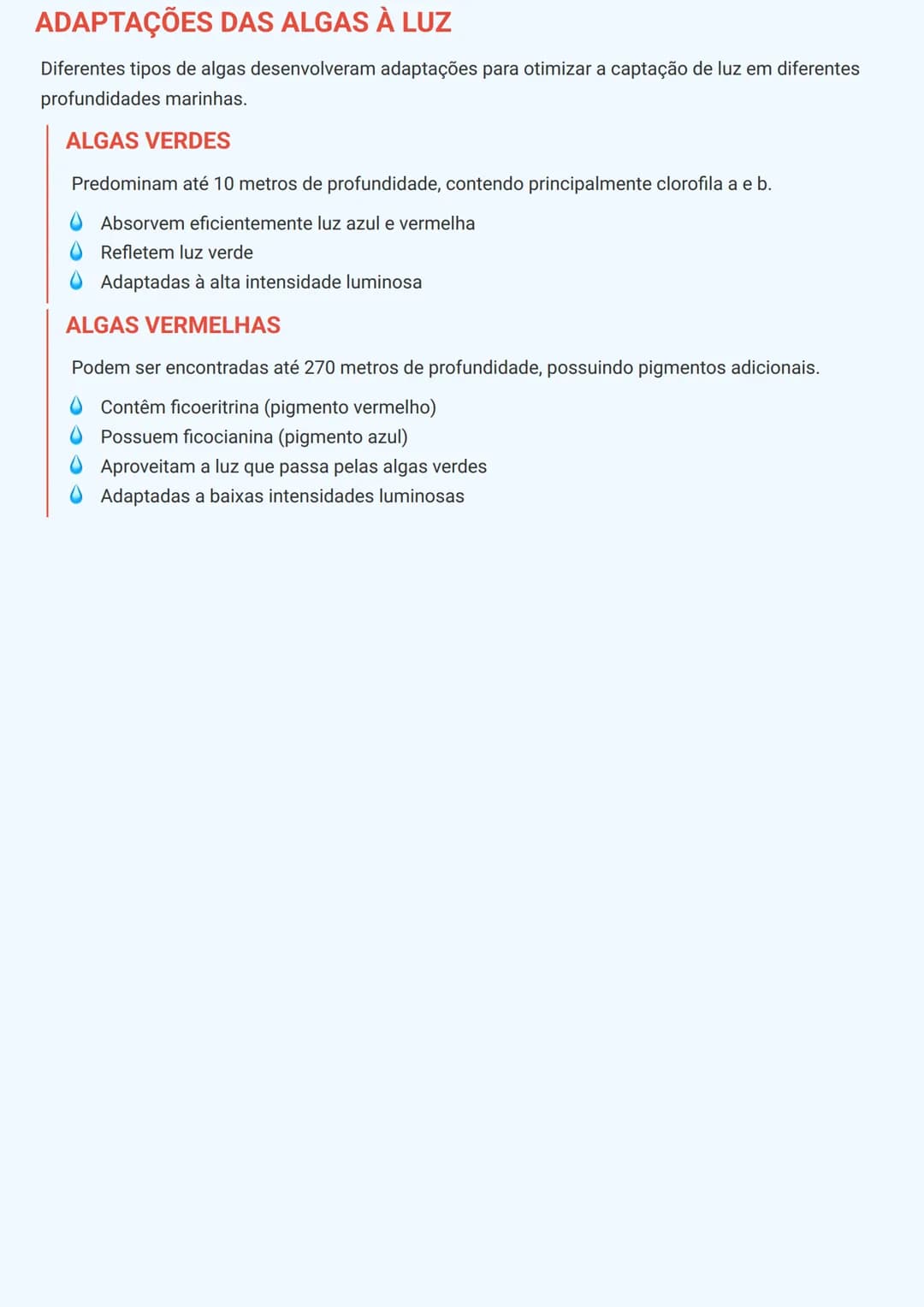 # FOTOSSÍNTESE E ADAPTAÇÕES DAS ALGAS

# ESTRUTURA DO CLOROPLASTO
O cloroplasto é uma organela fundamental para a fotossíntese, contendo est