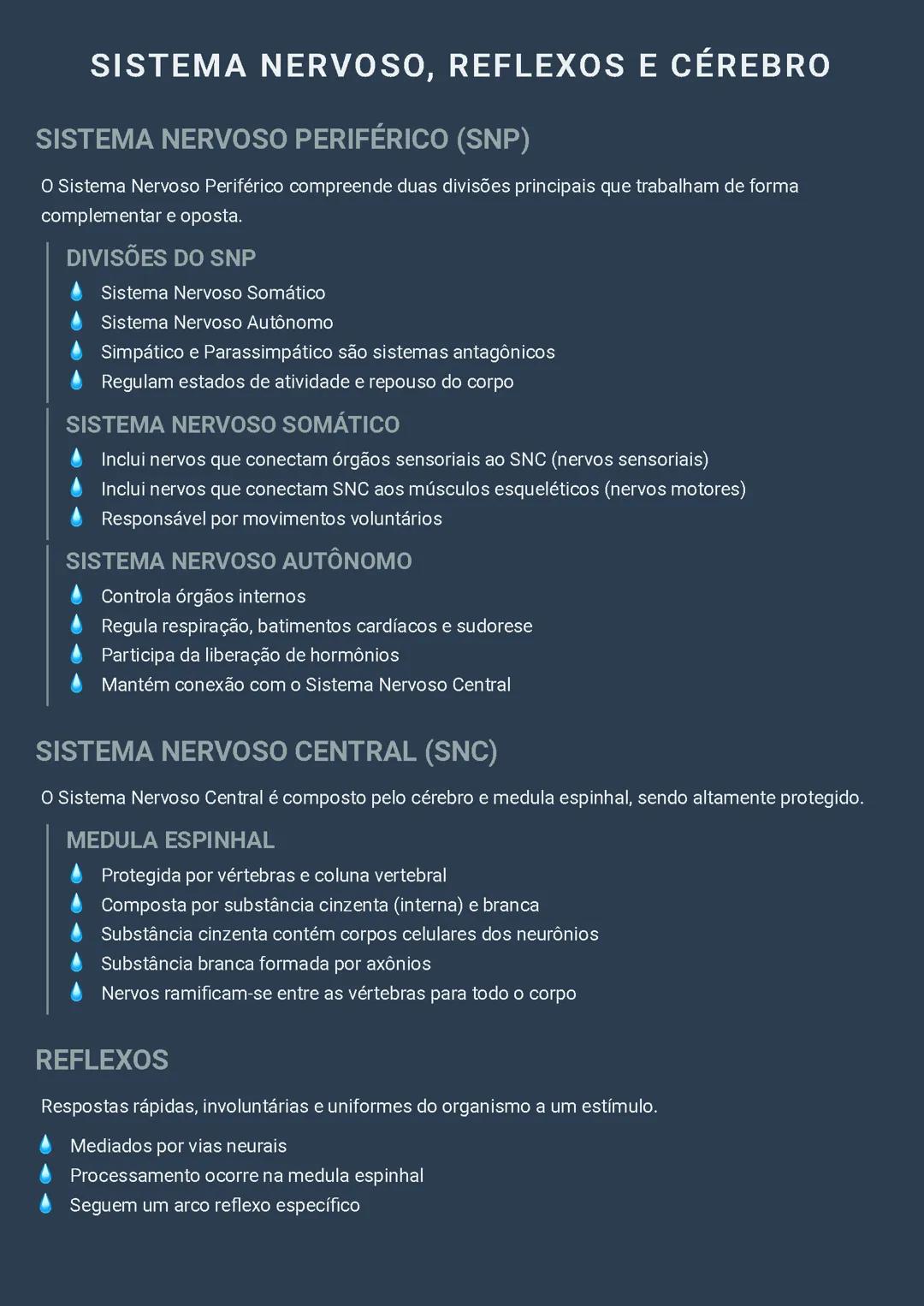Sistema Nervoso, Reflexos e Cérebro