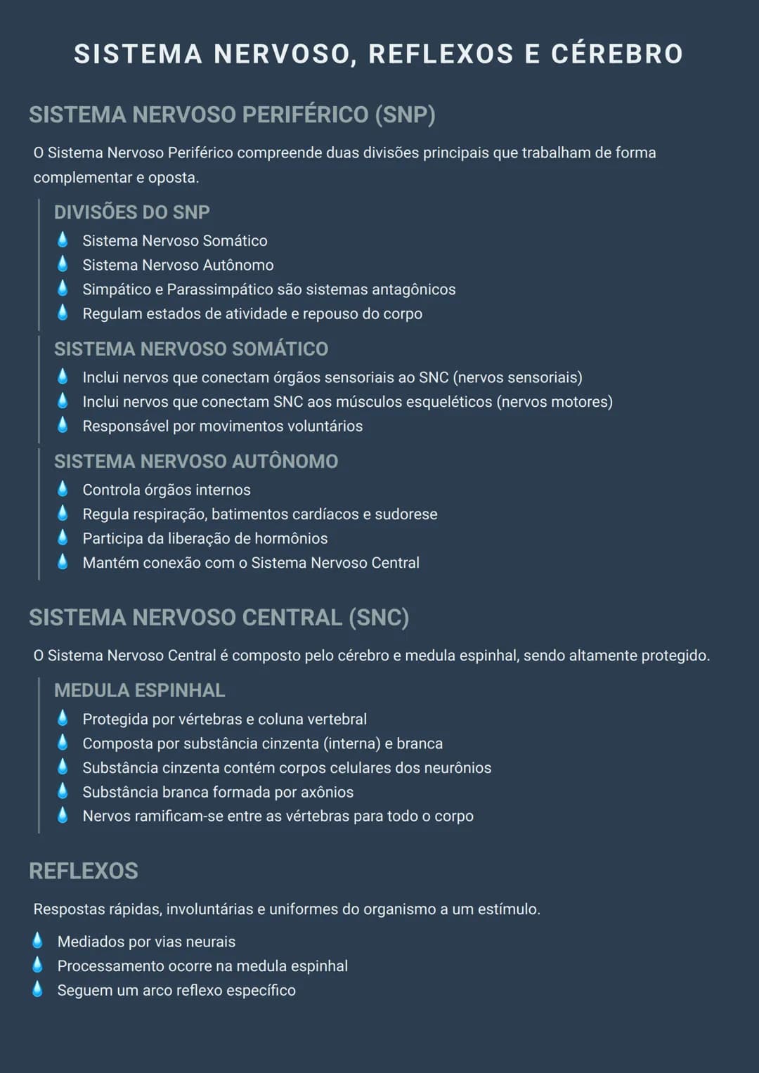 --- OCR Start ---
SISTEMA NERVOSO, REFLEXOS E CÉREBRO
SISTEMA NERVOSO PERIFÉRICO (SNP)
O Sistema Nervoso Periférico compreende duas divisões