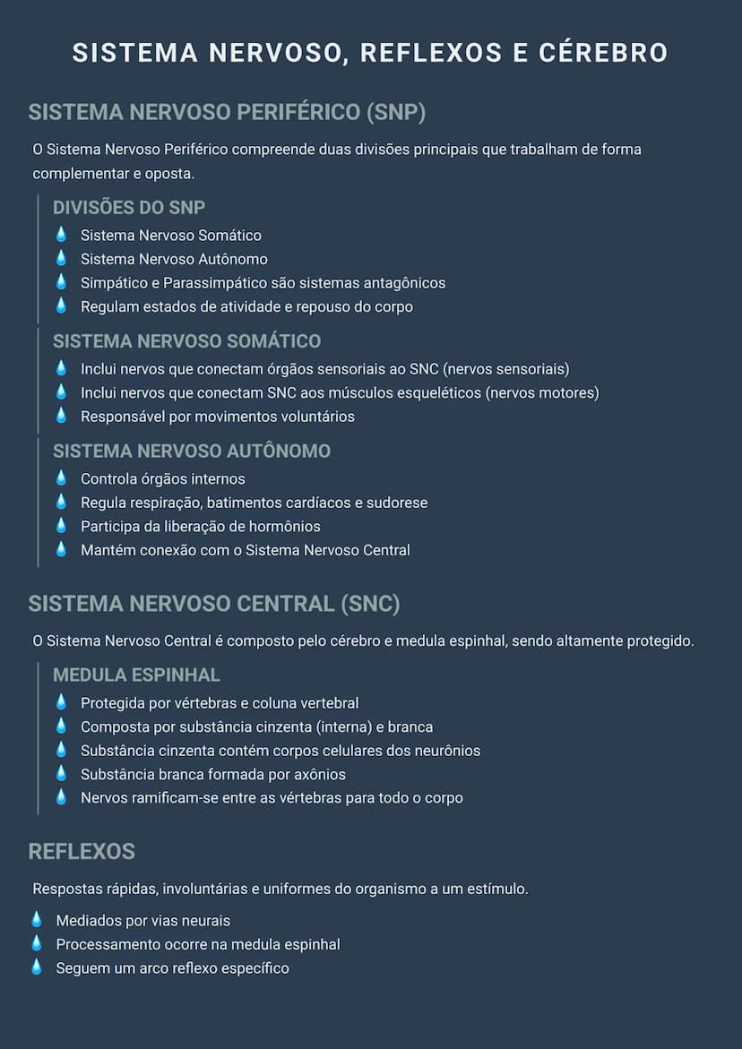 --- OCR Start ---
SISTEMA NERVOSO, REFLEXOS E CÉREBRO
SISTEMA NERVOSO PERIFÉRICO (SNP)
O Sistema Nervoso Periférico compreende duas divisões