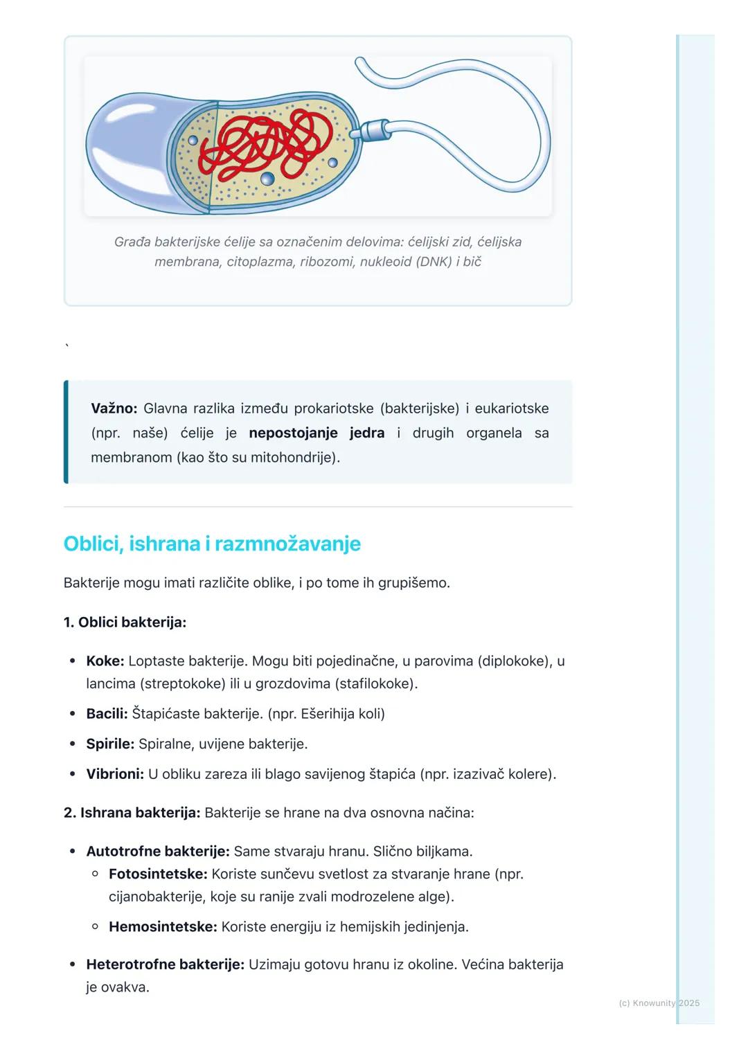 # Bakterije

## Šta su bakterije?

Bakterije su najjednostavniji i najbrojniji organizmi na Zemlji. One su
ejdnoćelijski organizmi, što znač