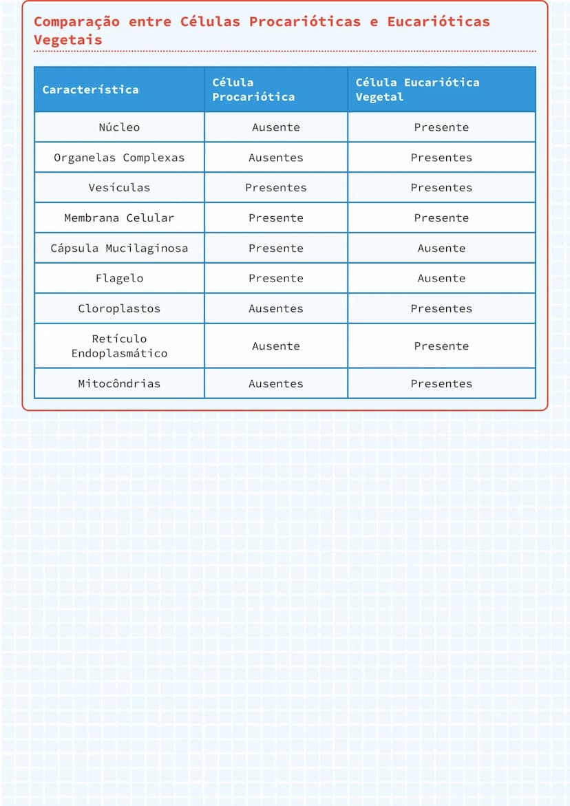 --- OCR Start ---
Células Procarióticas e Eucarióticas
Célula Procariótica (Bacteriana)
A célula procariótica é uma estrutura mais simples e