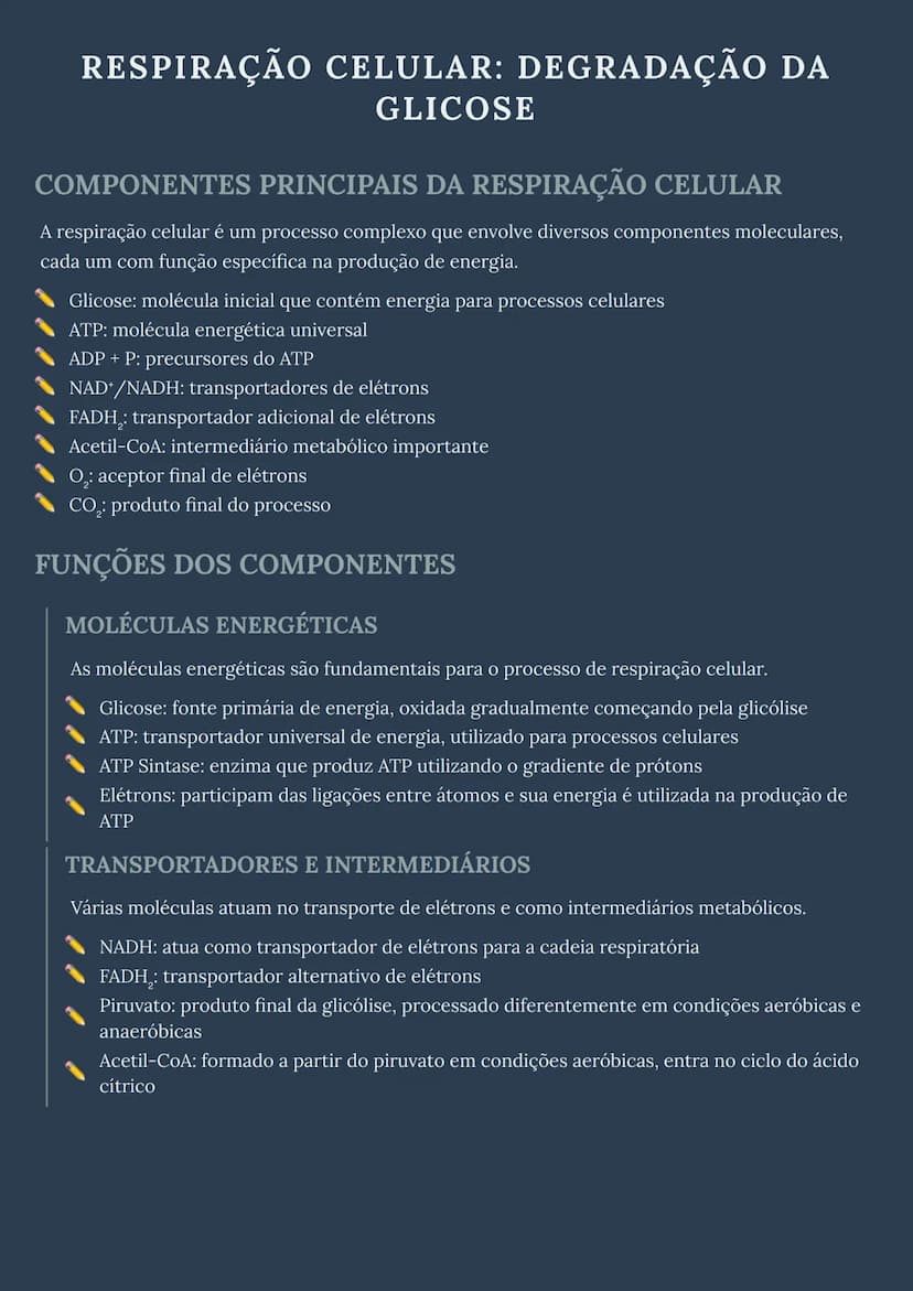 # RESPIRAÇÃO CELULAR: DEGRADAÇÃO DA GLICOSE

# COMPONENTES PRINCIPAIS DA RESPIRAÇÃO CELULAR
A respiração celular é um processo complexo que 