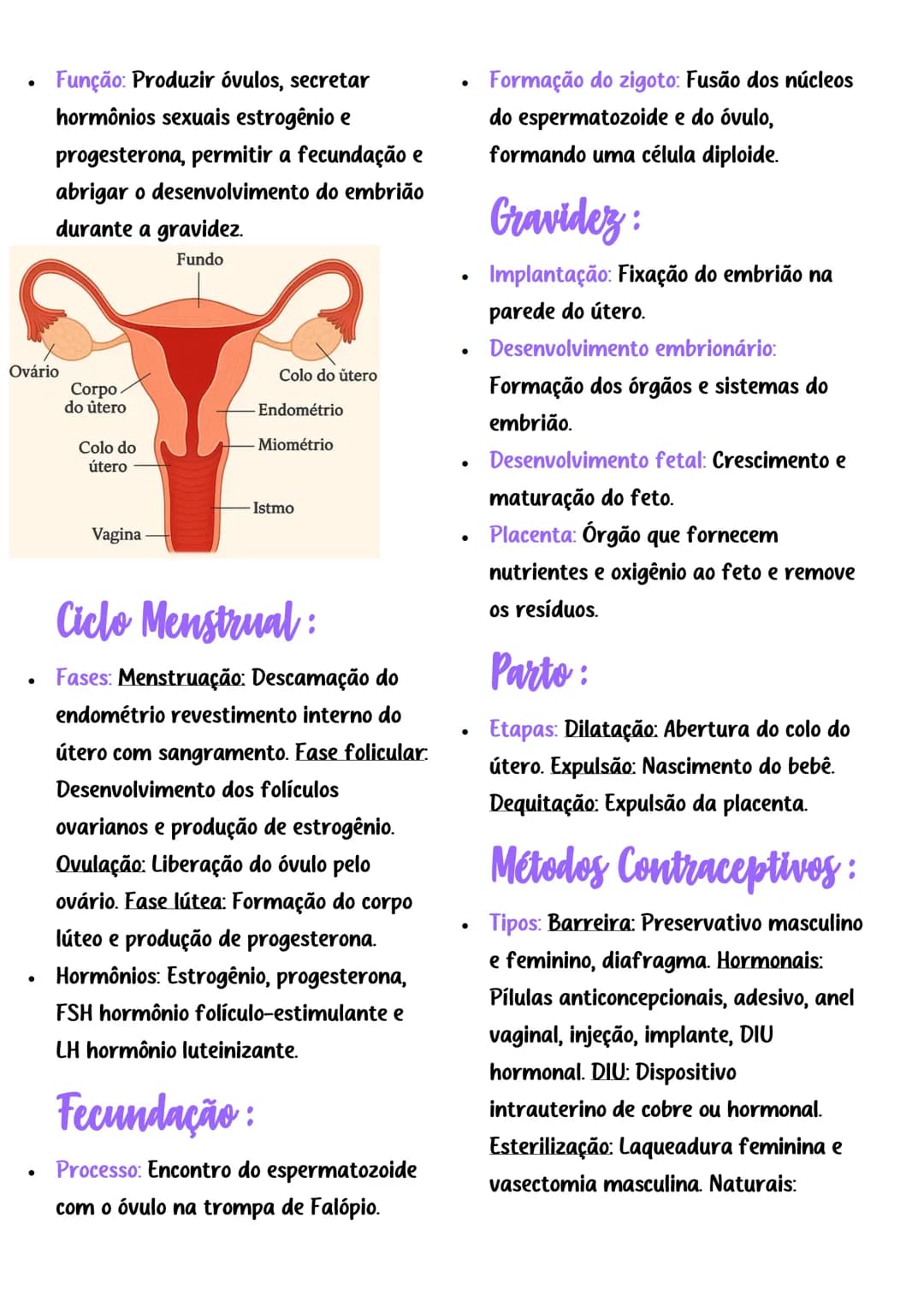 Introdução:
REPRODUÇÃO
Hemara
A reprodução humana é o processo pelo
qual ocorre a formação de um novo
ser, por meio da união das células
rep