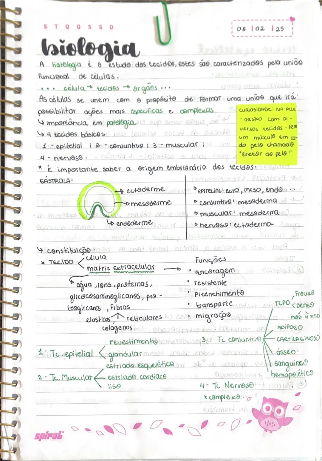 --- OCR Start ---
STOOSSD
biologia
A hatologia
ОБ 102 125
é o estudo dos tecidos, estes são caracterizados pela união
Funcional de células.
