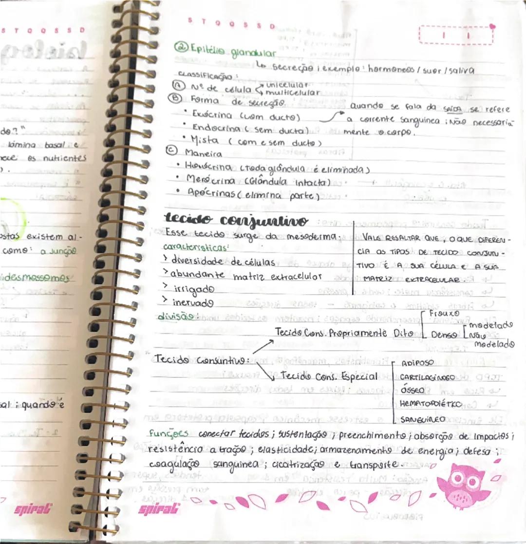 --- OCR Start ---
STOOSSD
biologia
A hatologia
ОБ 102 125
é o estudo dos tecidos, estes são caracterizados pela união
Funcional de células.
