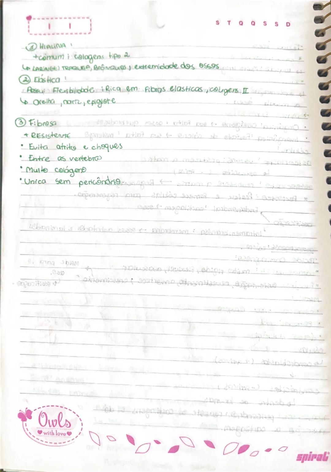 --- OCR Start ---
STOOSSD
biologia
A hatologia
ОБ 102 125
é o estudo dos tecidos, estes são caracterizados pela união
Funcional de células.
