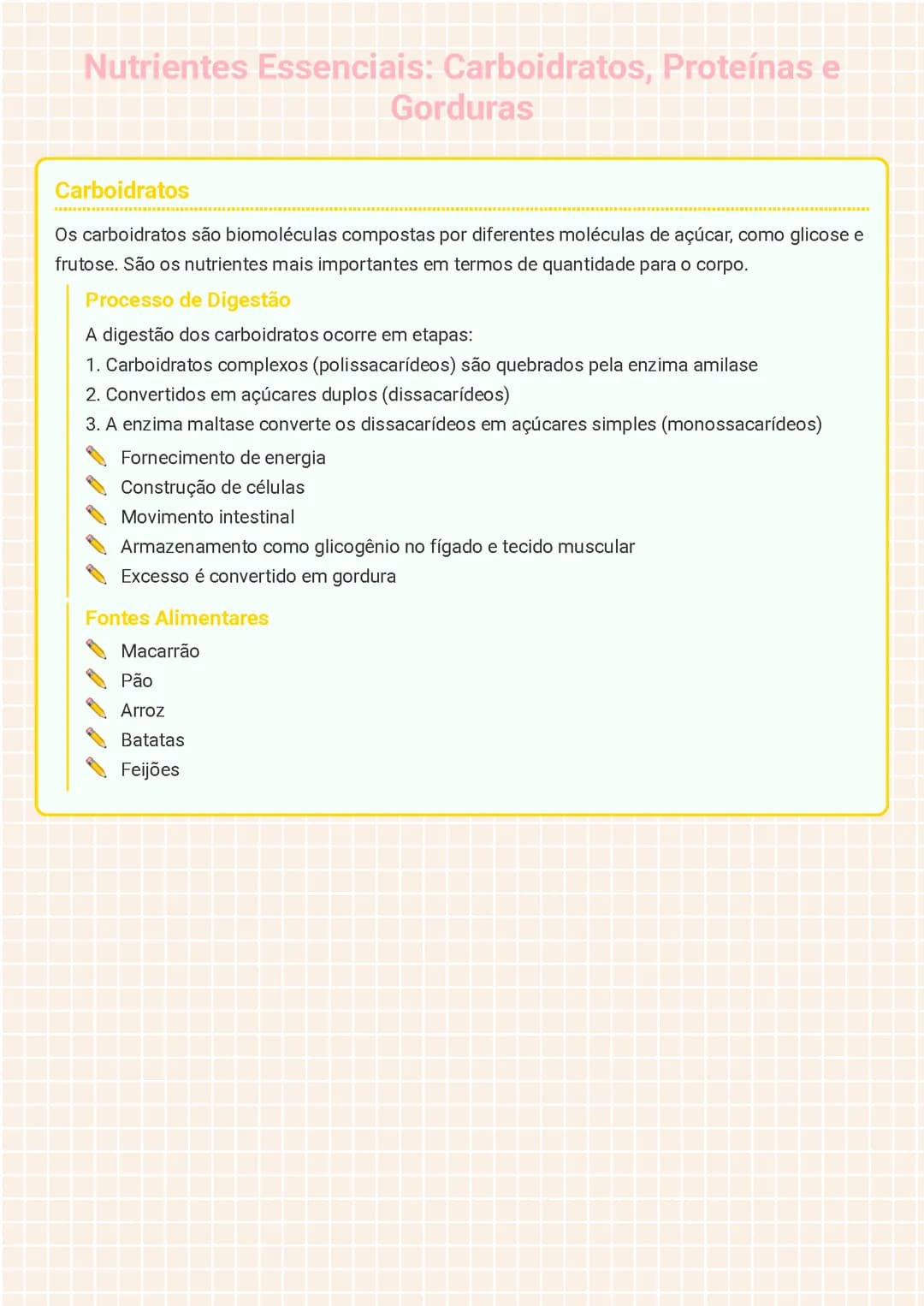 Nutrientes Essenciais: Carboidratos, Proteínas e Gorduras