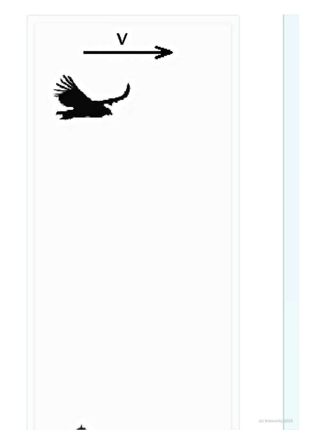 # Pojam kretanja i mirovanja

Uvod u kretanje i mirovanje

Sve oko nas se ili kreće ili stoji. Ali u fizici, da li se nešto kreće ili miruje