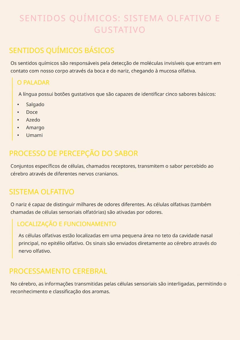 # SENTIDOS QUÍMICOS: SISTEMA OLFATIVO E
GUSTATIVO

# SENTIDOS QUÍMICOS BÁSICOS
Os sentidos químicos são responsáveis pela detecção de molécu