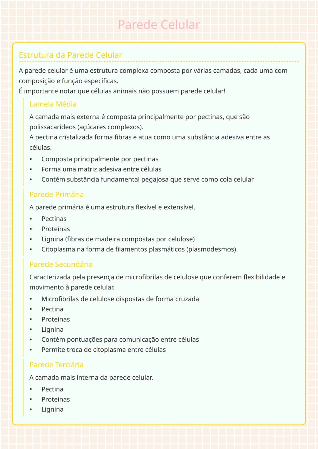 # Parede Celular

# Estrutura da Parede Celular
A parede celular é uma estrutura complexa composta por várias camadas, cada uma com
composiç