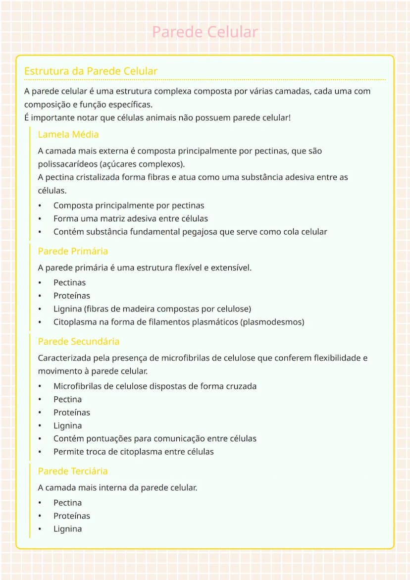 # Parede Celular

# Estrutura da Parede Celular
A parede celular é uma estrutura complexa composta por várias camadas, cada uma com
composiç