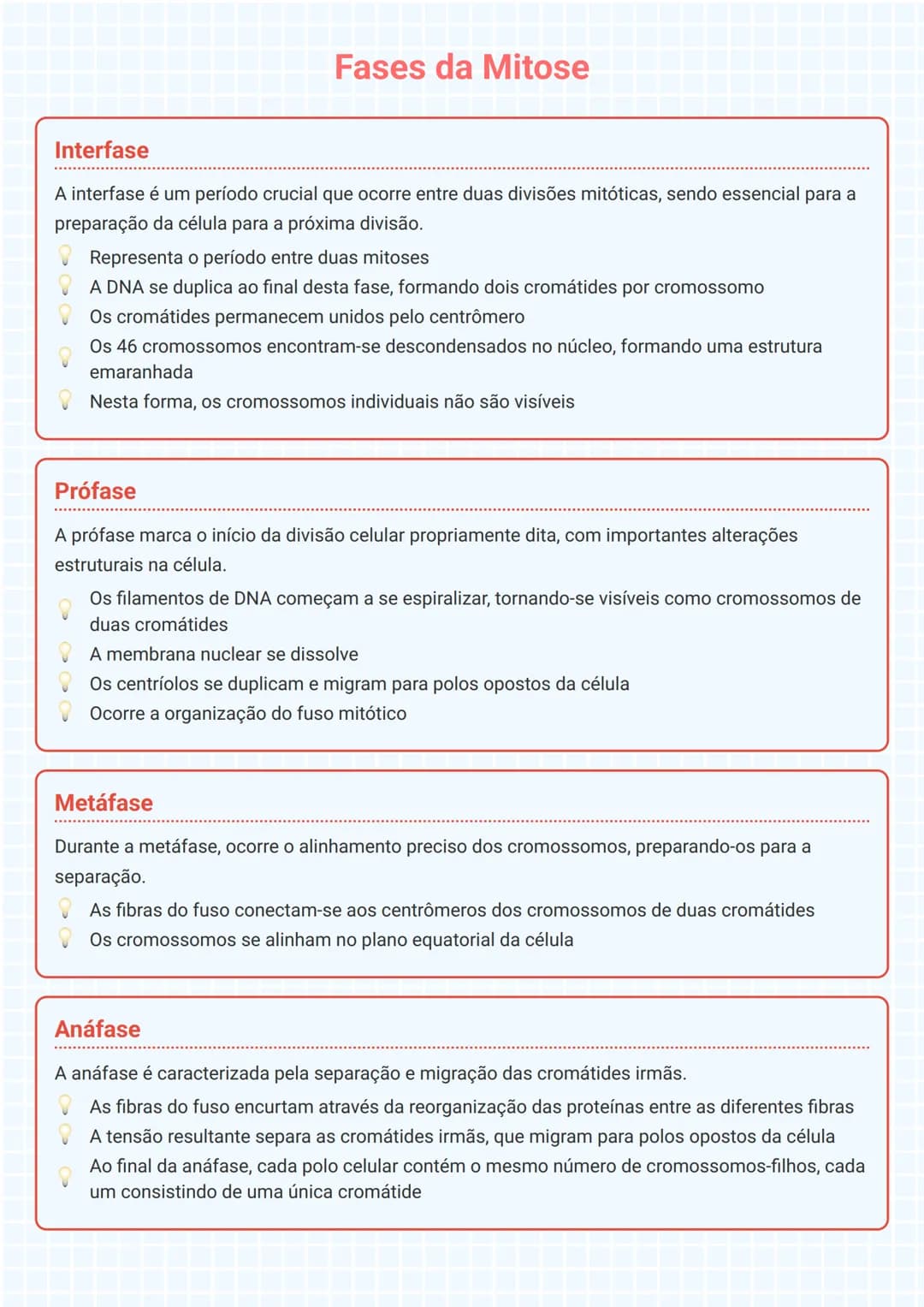 # Fases da Mitose

# Interfase
A interfase é um período crucial que ocorre entre duas divisões mitóticas, sendo essencial para a
preparação 