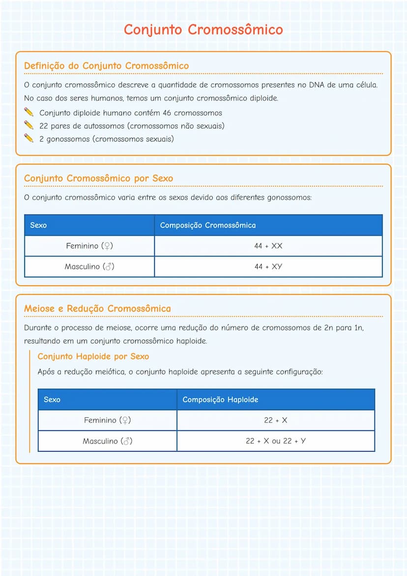 # Conjunto Cromossômico

## Definição do Conjunto Cromossômico
O conjunto cromossômico descreve a quantidade de cromossomos presentes no DNA