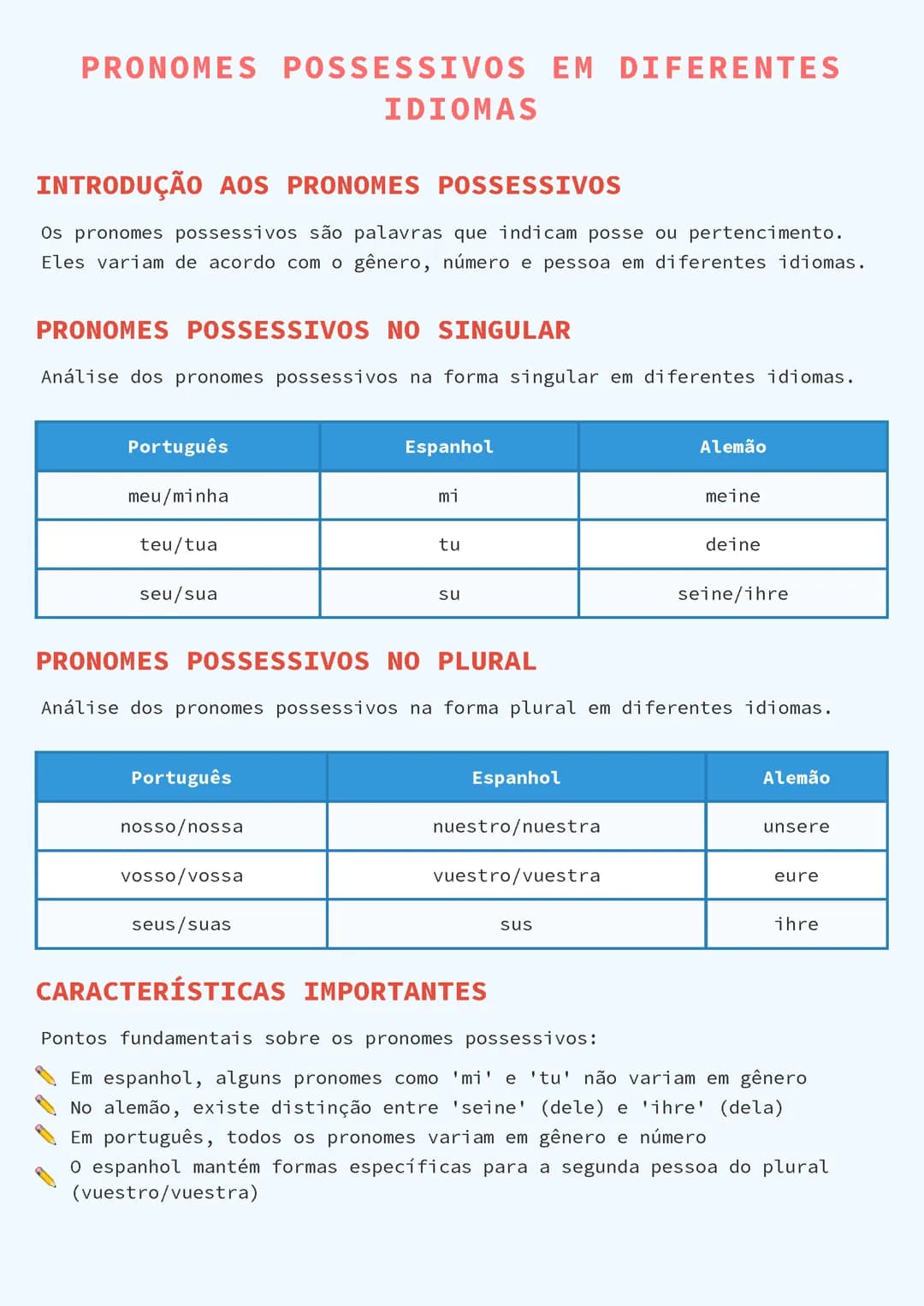 Pronomes Possessivos em Diferentes Idiomas