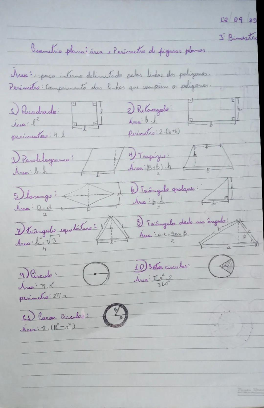 Matemática: geometria plana:perimetro e área de figuras planas.