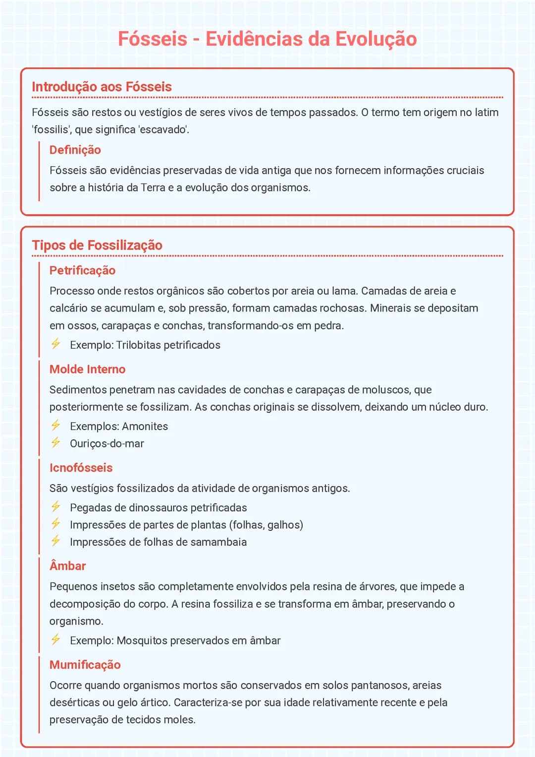 Fósseis - Evidências da Evolução