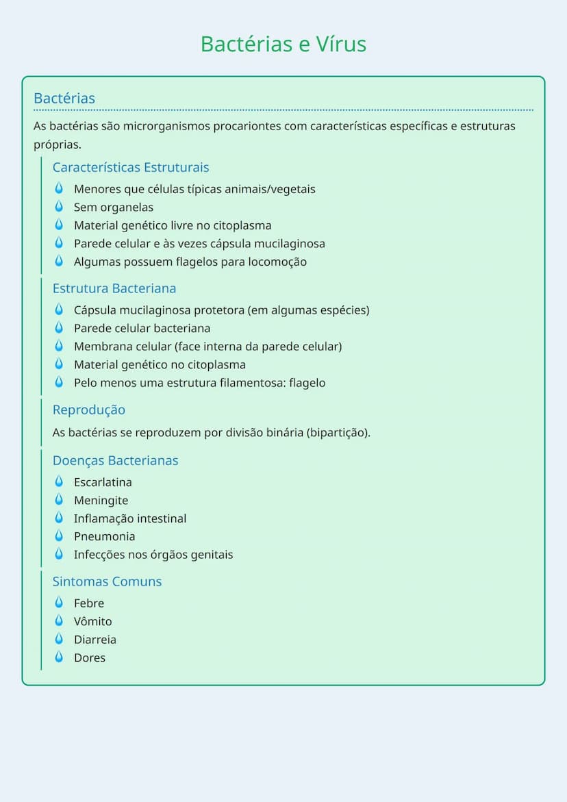 --- OCR Start ---
Bactérias e Vírus
Bactérias
As bactérias são microrganismos procariontes com características específicas e estruturas
próp