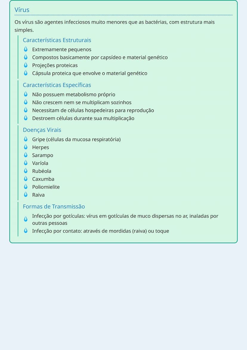 --- OCR Start ---
Bactérias e Vírus
Bactérias
As bactérias são microrganismos procariontes com características específicas e estruturas
próp