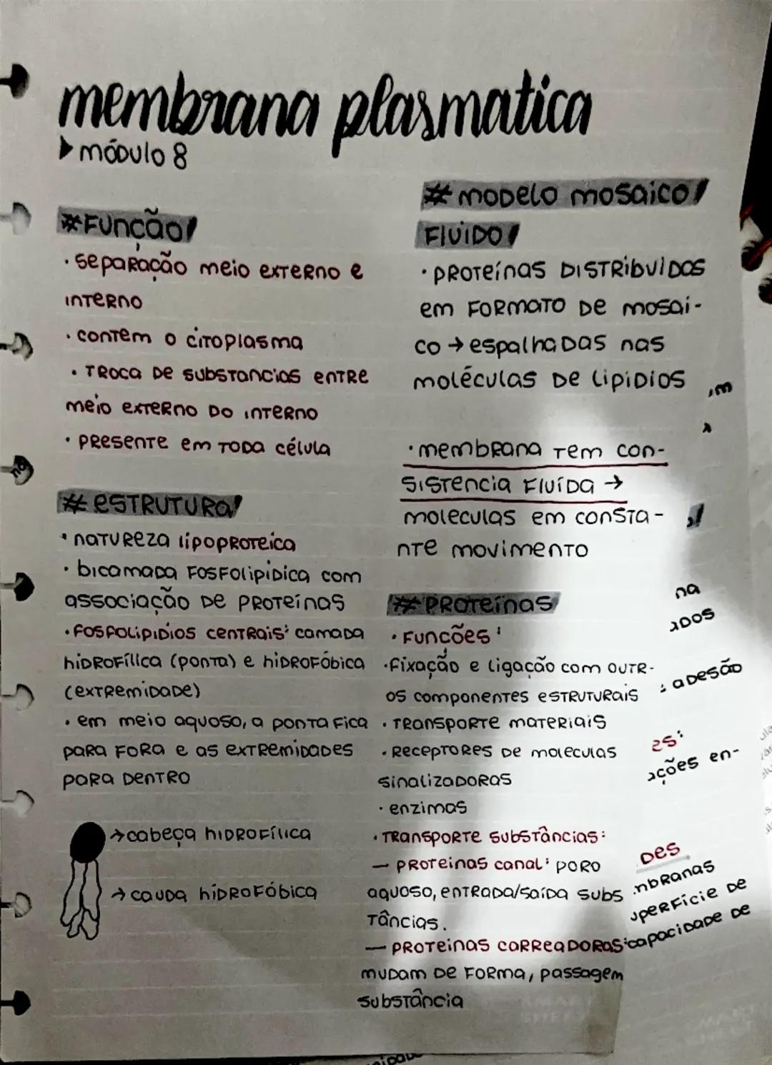 membrana plasmatica
►Módulo 8
#Função
• separação meio externo e
interno
• contem o citoριας Μα
• TROCA De substancias entre
meio externo DO