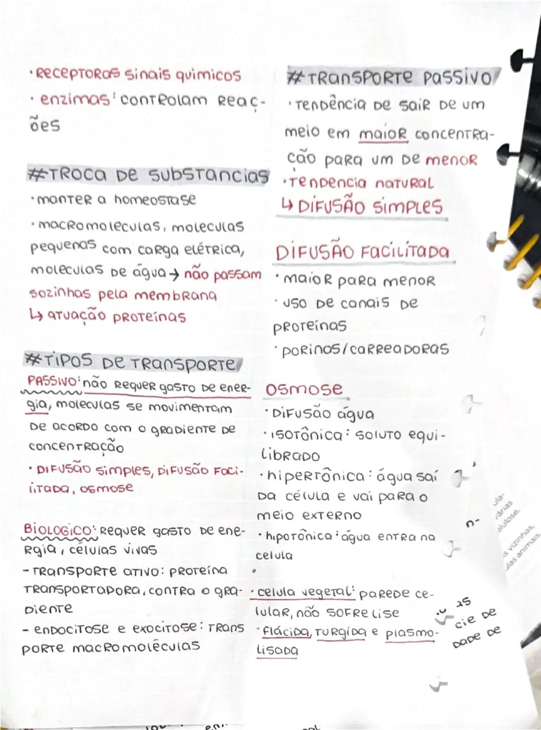 membrana plasmatica
►Módulo 8
#Função
• separação meio externo e
interno
• contem o citoριας Μα
• TROCA De substancias entre
meio externo DO