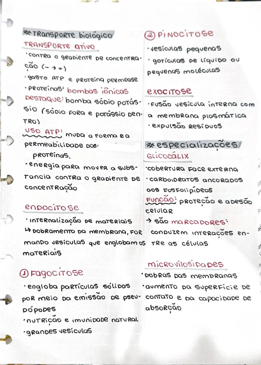 membrana plasmatica
►Módulo 8
#Função
• separação meio externo e
interno
• contem o citoριας Μα
• TROCA De substancias entre
meio externo DO