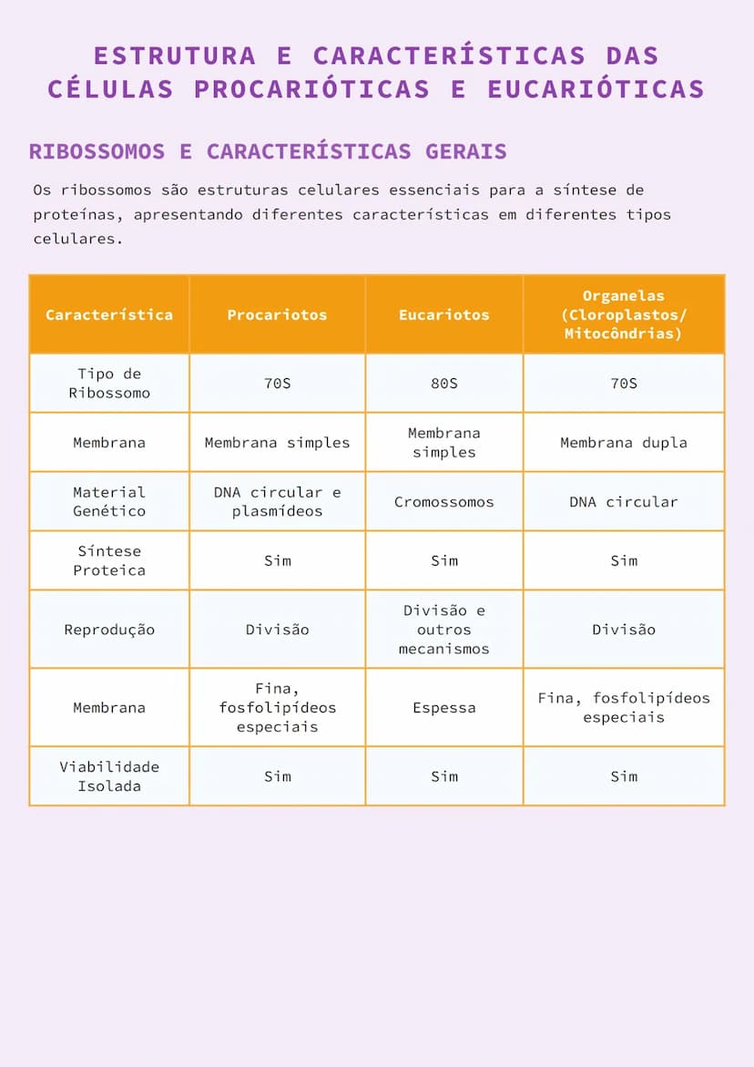 # ESTRUTURA E CARACTERÍSTICAS DAS
# CÉLULAS PROCARIÓTICAS E EUCARIÓTICAS

# RIBOSSOMOS E CARACTERÍSTICAS GERAIS

Os ribossomos são estrutura