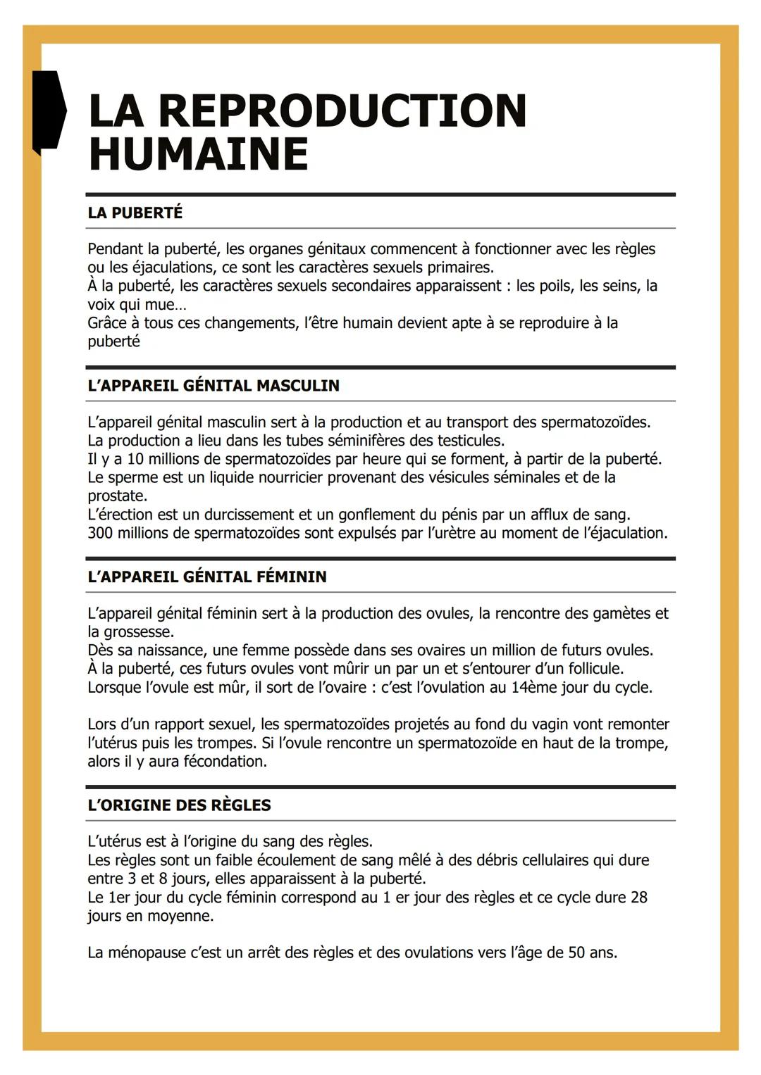 # LA REPRODUCTION
# HUMAINE

# LA PUBERTÉ

Pendant la puberté, les organes génitaux commencent à fonctionner avec les règles
ou les éjaculat