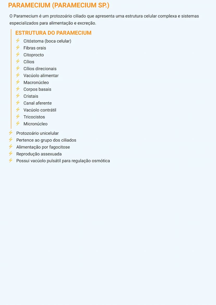 --- OCR Start ---
ORGANISMOS UNICELULARES
CARACTERÍSTICAS GERAIS DOS ORGANISMOS UNICELULARES
Os organismos unicelulares são seres vivos comp