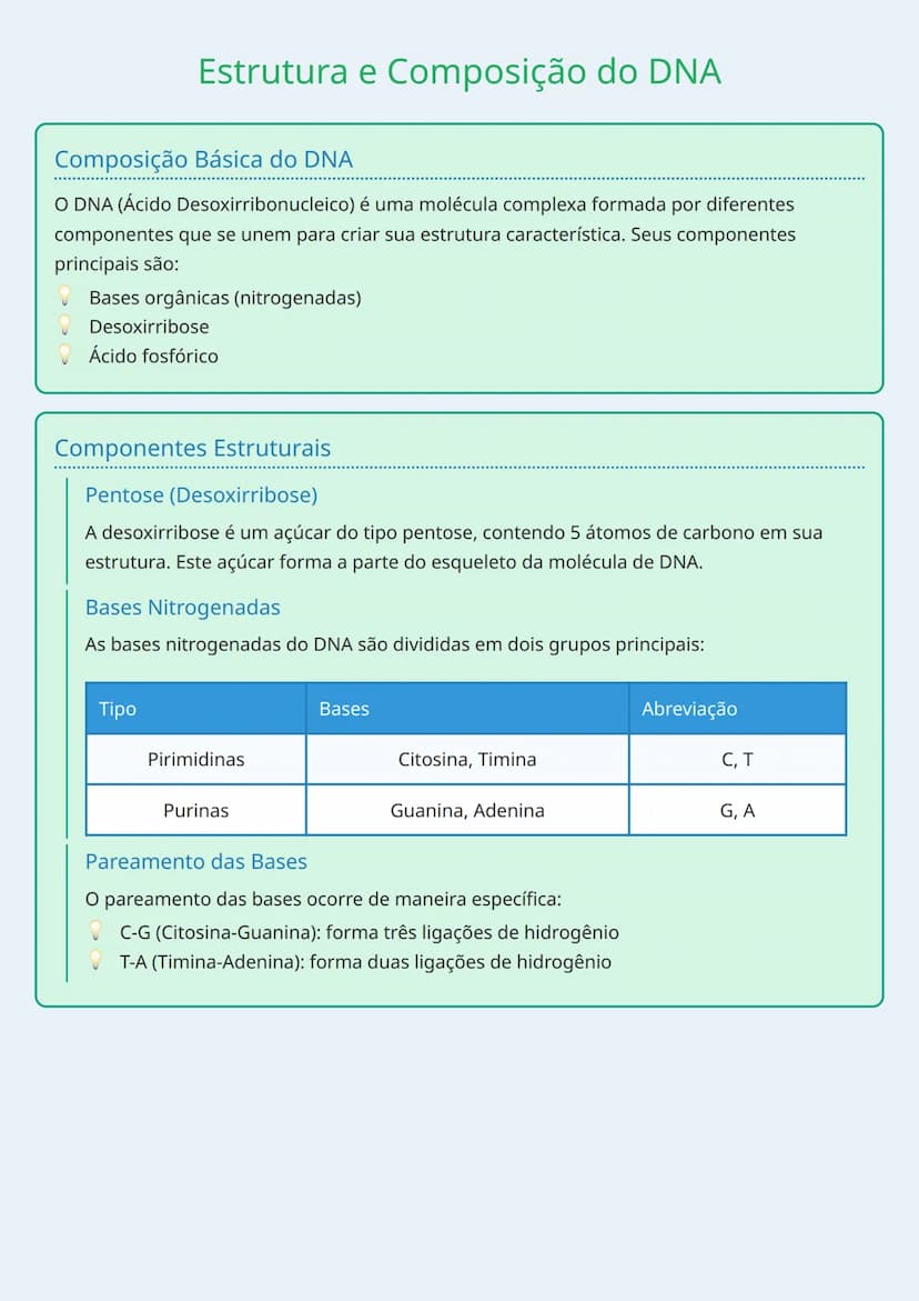 # Estrutura e Composição do DNA

## Composição Básica do DNA
O DNA (Ácido Desoxirribonucleico) é uma molécula complexa formada por diferente