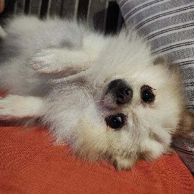 user profile picture