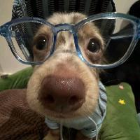 user profile picture