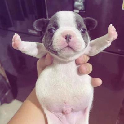 user profile picture