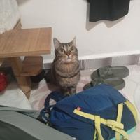 user profile picture