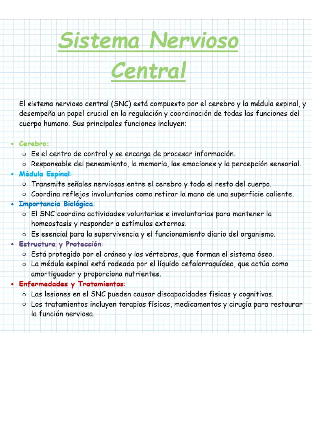 Sistema Nervioso Central (SNC)