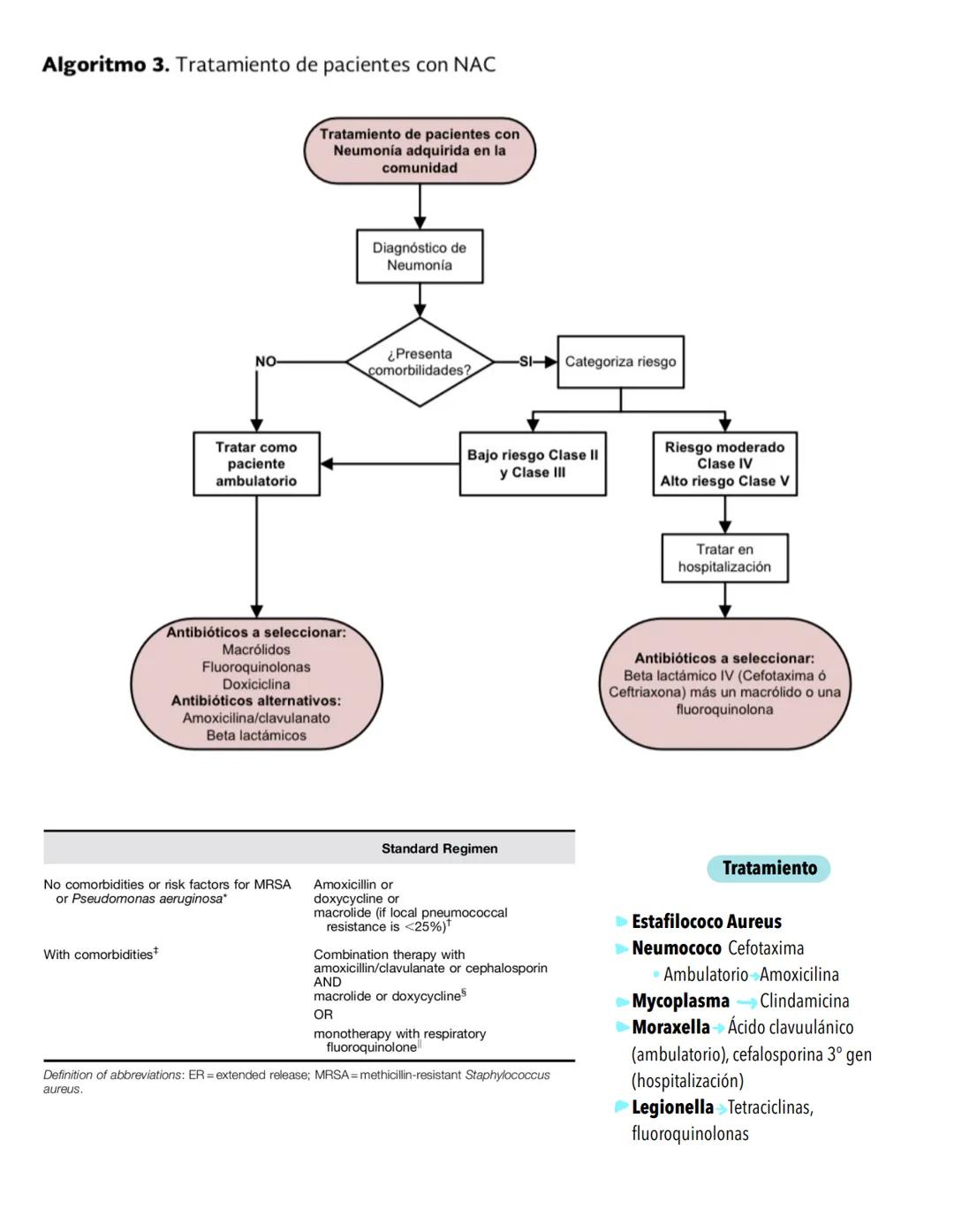 Infecciones
RESPIRATORIAS
Factores protectores
⚫Vellosidades nasales
⚫ Reflejo Nauseoso
⚫Reflejo Nasosinobronquial
Polimorfonucleares
• Macr