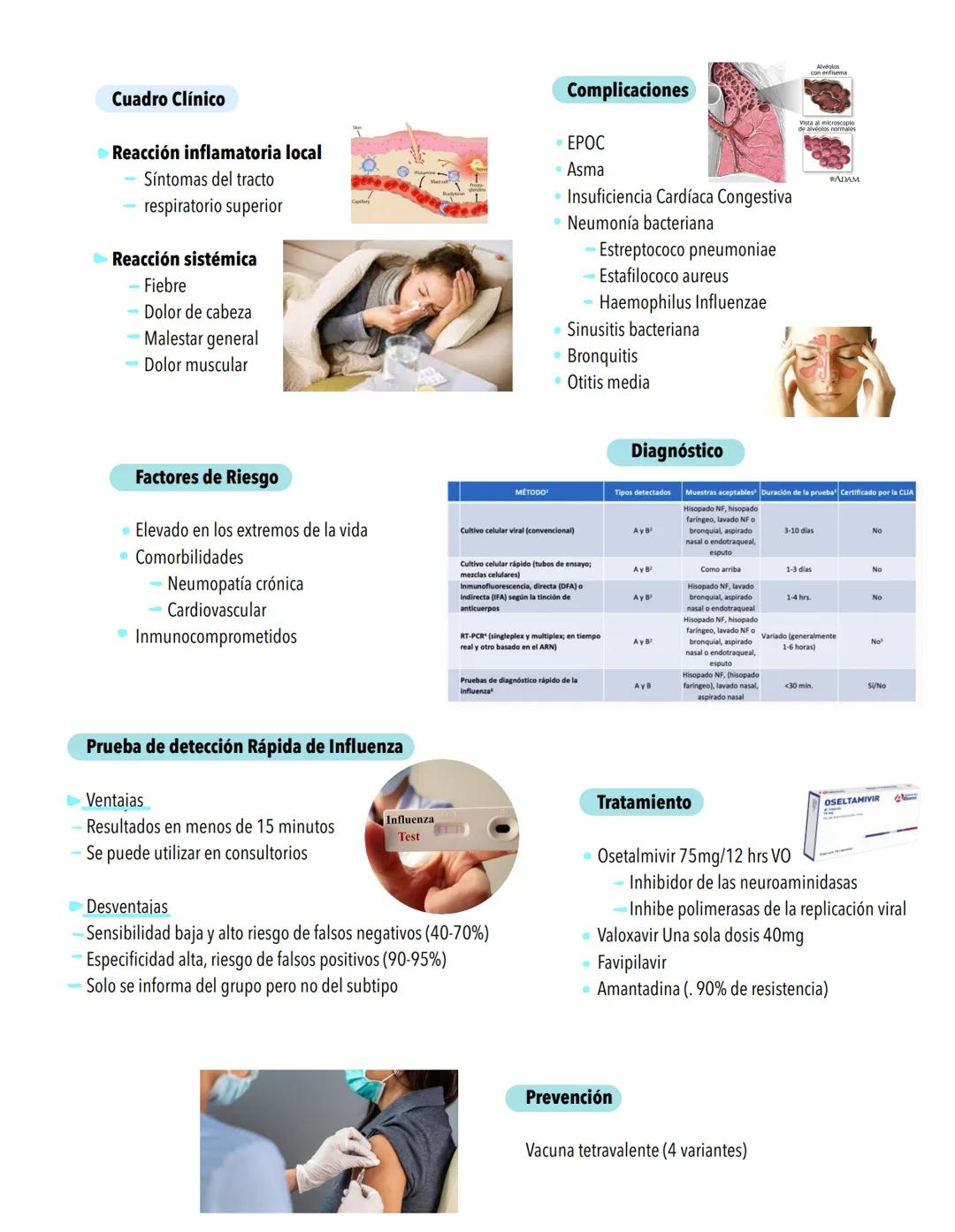Infecciones
RESPIRATORIAS
Factores protectores
⚫Vellosidades nasales
⚫ Reflejo Nauseoso
⚫Reflejo Nasosinobronquial
Polimorfonucleares
• Macr