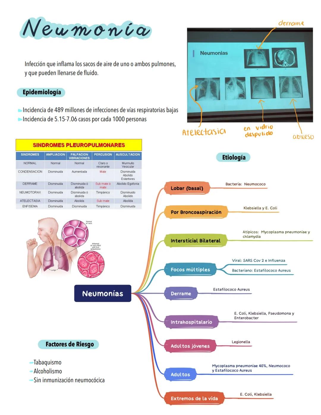 Infecciones
RESPIRATORIAS
Factores protectores
⚫Vellosidades nasales
⚫ Reflejo Nauseoso
⚫Reflejo Nasosinobronquial
Polimorfonucleares
• Macr