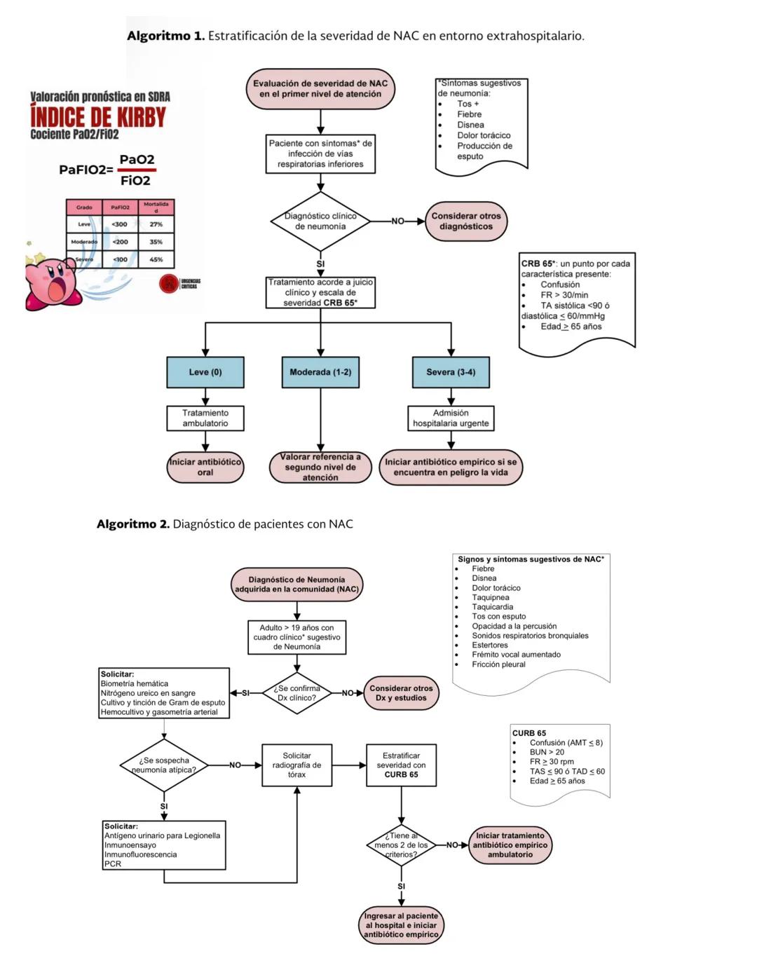 Infecciones
RESPIRATORIAS
Factores protectores
⚫Vellosidades nasales
⚫ Reflejo Nauseoso
⚫Reflejo Nasosinobronquial
Polimorfonucleares
• Macr