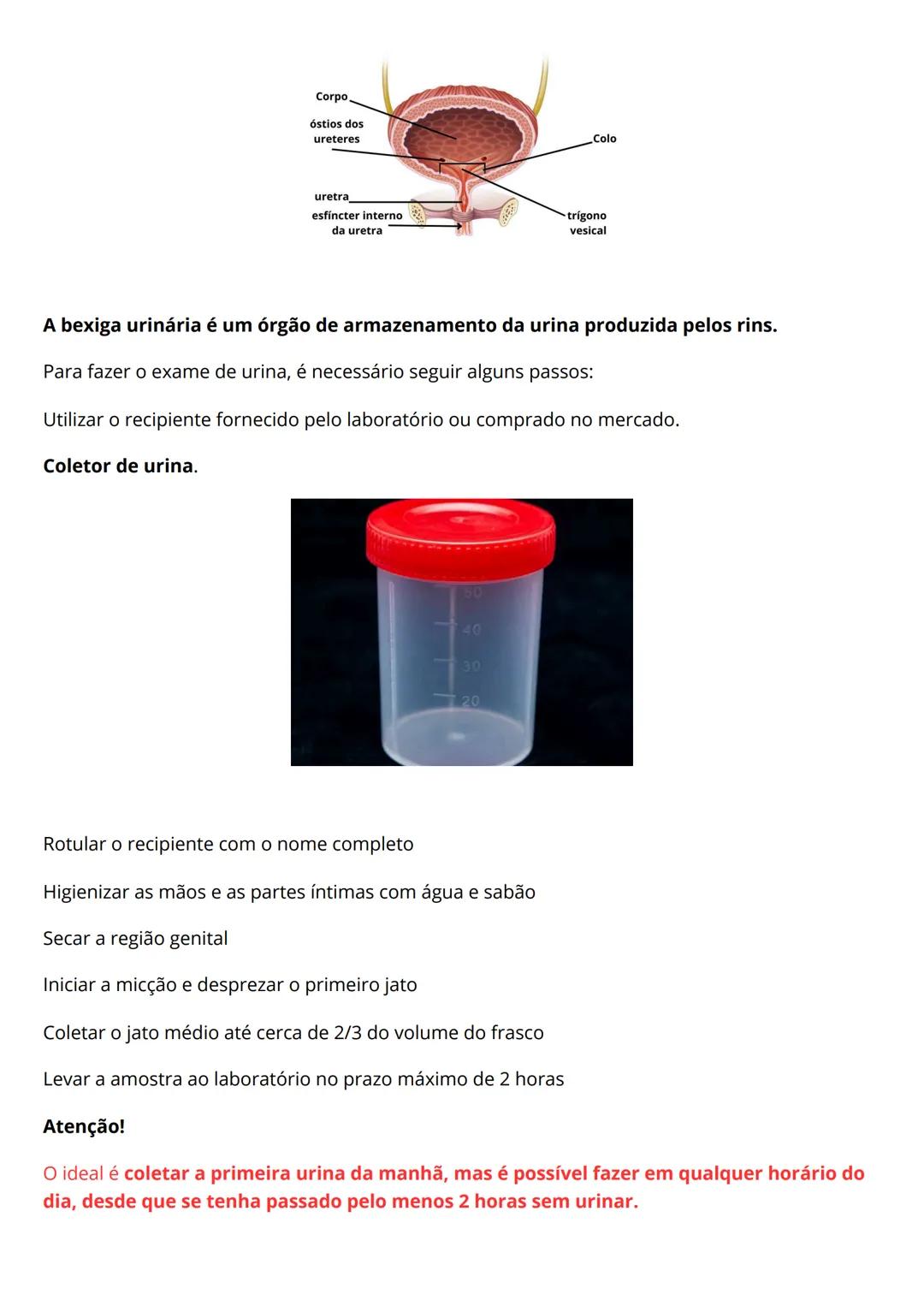 # Resumo de
urinalíse
Eleticiana Lima de Farias Catunda.
Introdução
O exame EAS costuma ser solicitado para auxiliar o médico a identific