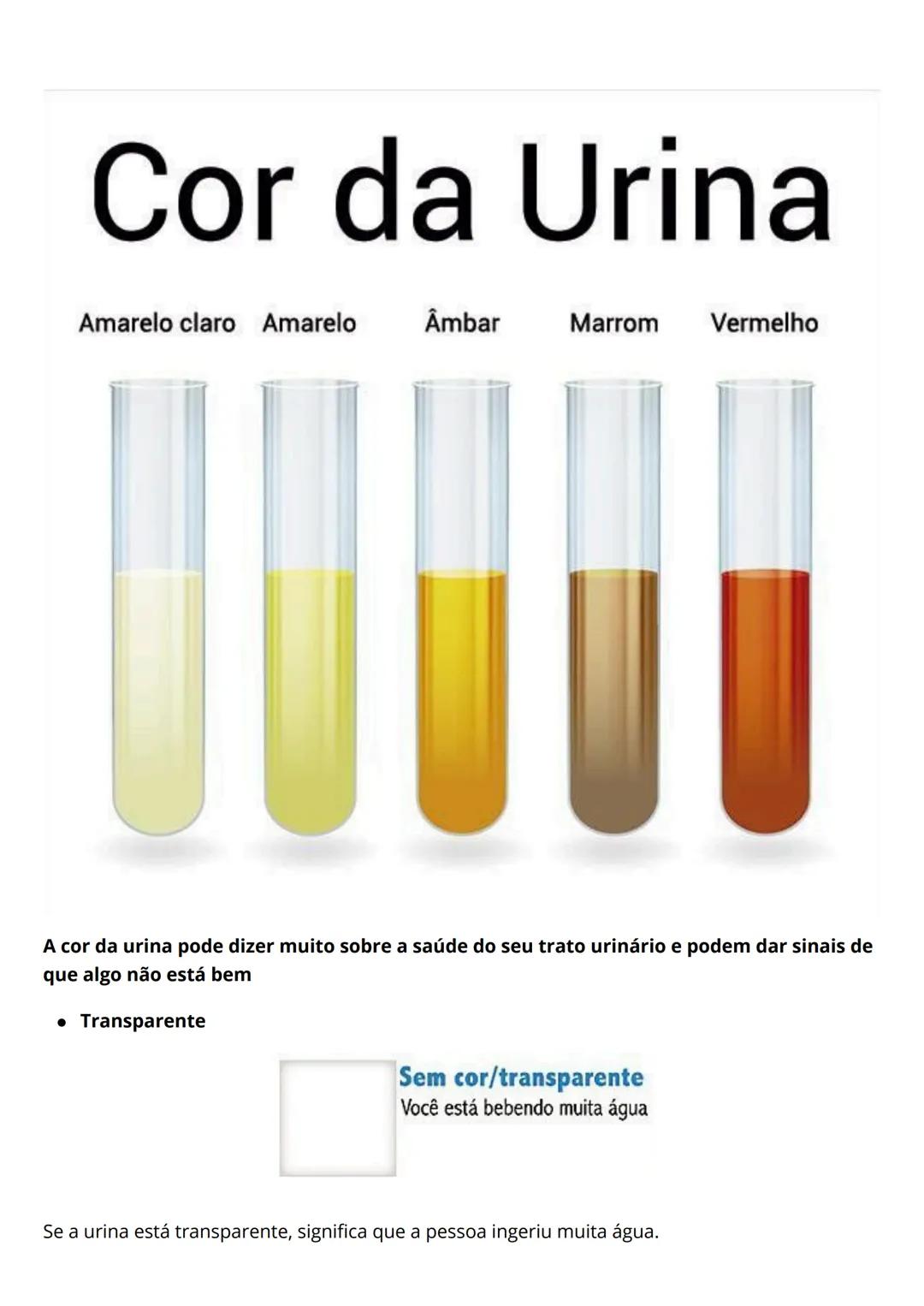 # Resumo de
urinalíse
Eleticiana Lima de Farias Catunda.
Introdução
O exame EAS costuma ser solicitado para auxiliar o médico a identific