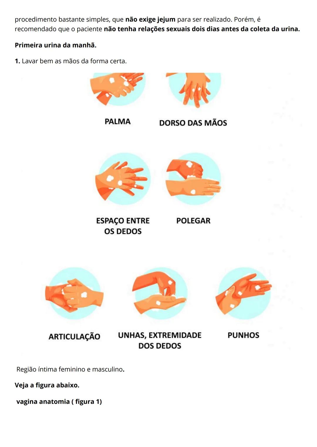 # Resumo de
urinalíse
Eleticiana Lima de Farias Catunda.
Introdução
O exame EAS costuma ser solicitado para auxiliar o médico a identific