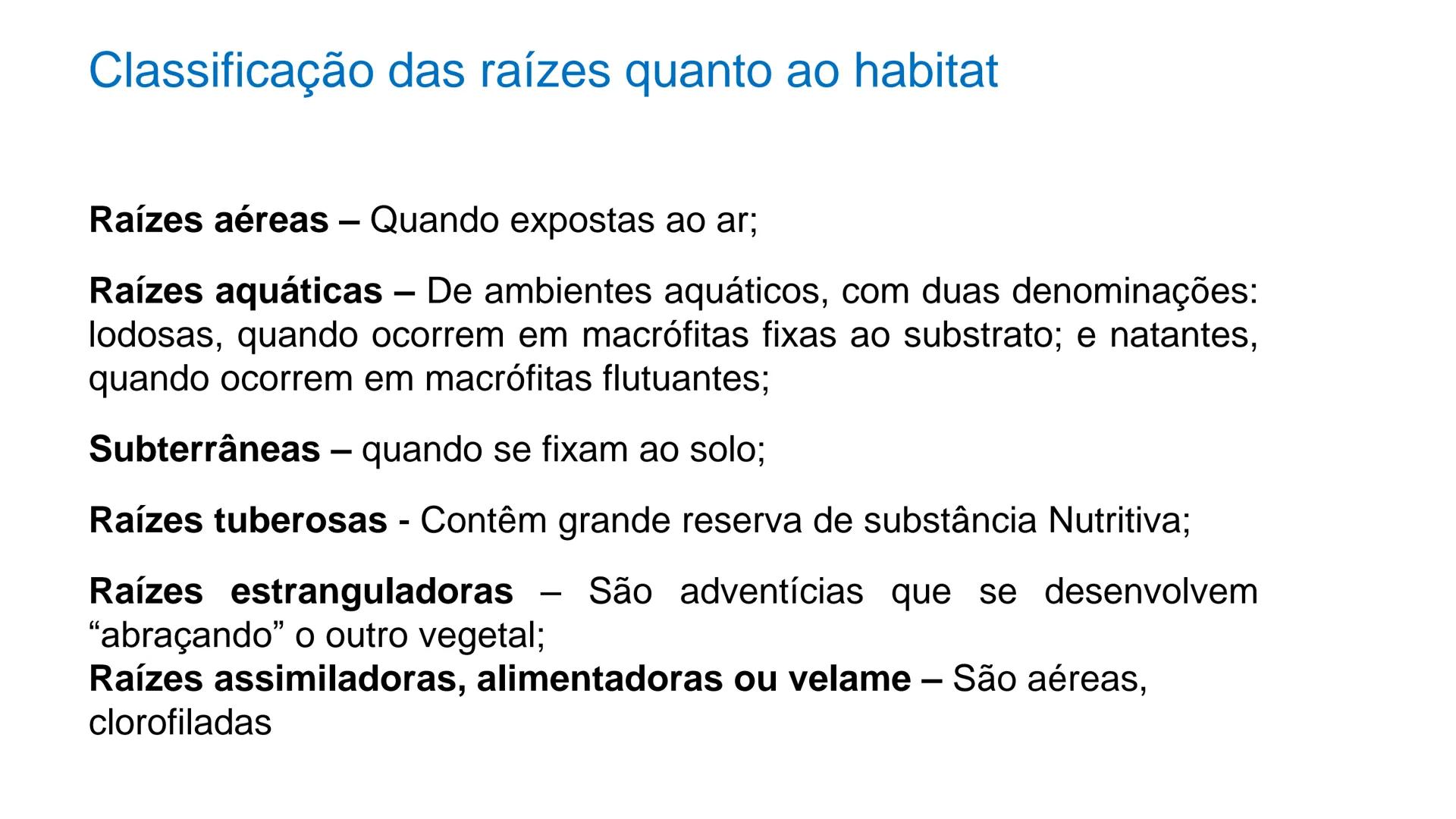# Origem
✓ Tem origem na região dos nós caulinares, geralmente abaixo de uma
gema
✓ Comumente não apresentam crescimento contínuo
✓ A maiori