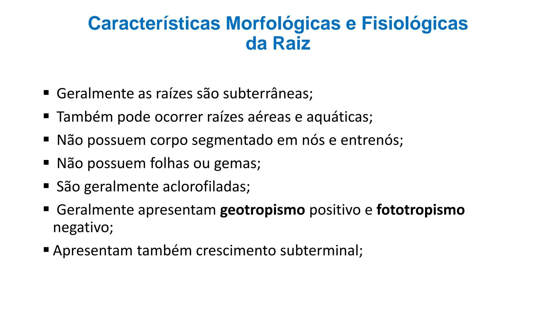 # Origem
✓ Tem origem na região dos nós caulinares, geralmente abaixo de uma
gema
✓ Comumente não apresentam crescimento contínuo
✓ A maiori