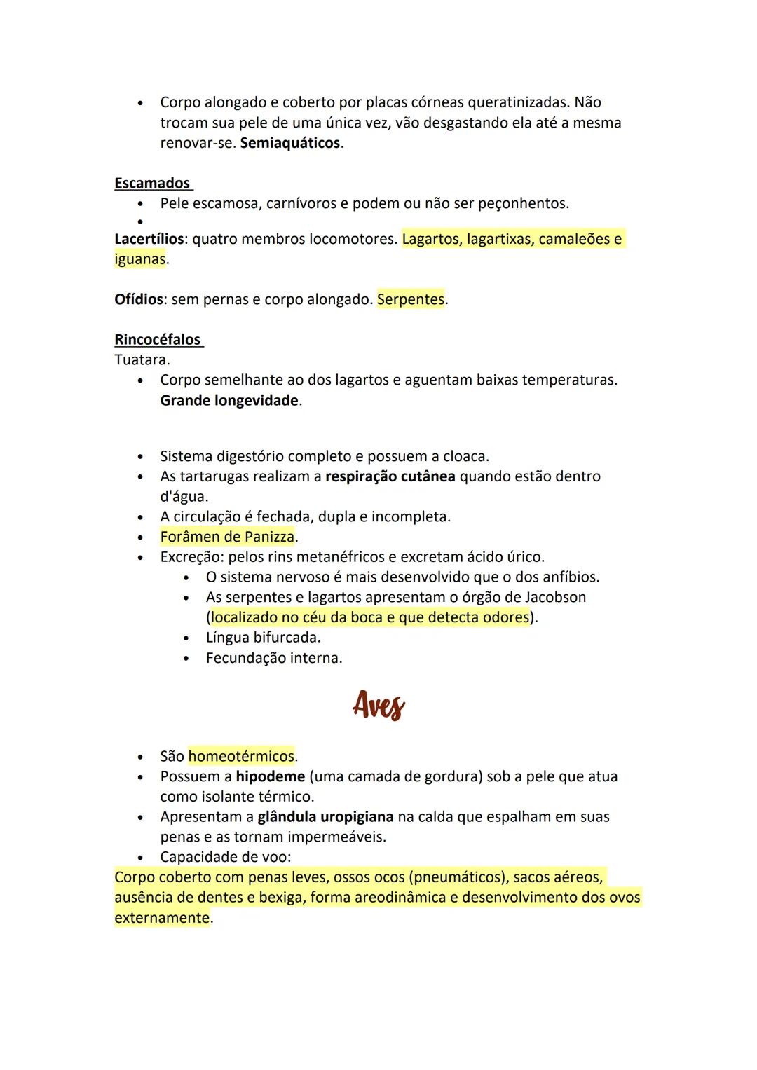 # Peixes
- Presença de nadadeiras e escamas, forma do corpo e viscosidade na
pele os ajudam a se movimentar na água.
- São pecilotérmicos.